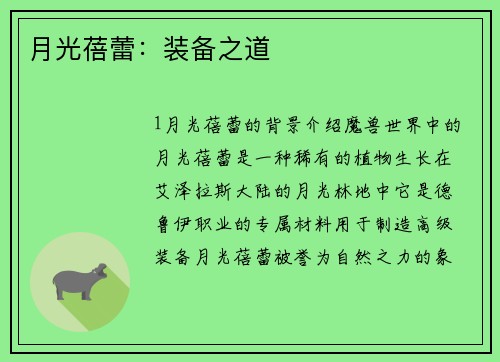 月光蓓蕾：装备之道